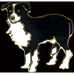 Boarder Collie Pin by WM Spear Designs