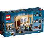 Harry Potter Hogwarts Polyjuice Potion Mistake by Lego 1