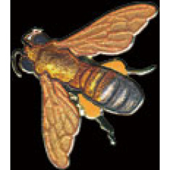 Honey Bee Pin by WM Spear Designs