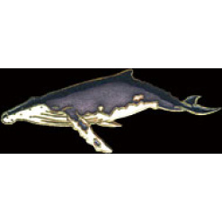 Humpback Whale Pin by WM Spear Designs