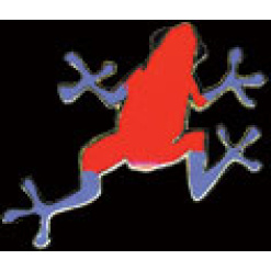 Poison Arrow Frog Pin by WM Spear Designs