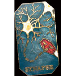 Synapse Pin by WM Spear Designs