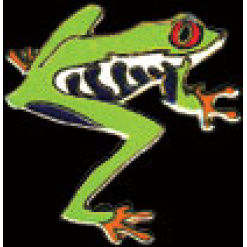 Tree Frog by WM Spear Designs