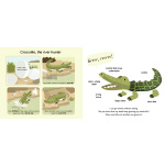 Safari Touch and Explore by Chronicle Books 1