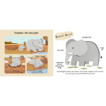 Safari Touch and Explore by Chronicle Books 2