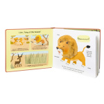 Safari Touch and Explore by Chronicle Books 4