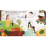 Where Do Babies Come From by Usborne 2