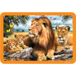3D Lenticular Placemats by Eurographics 1