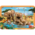 3D Lenticular Placemats by Eurographics