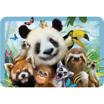 3D Lenticular Placemats by Eurographics 2