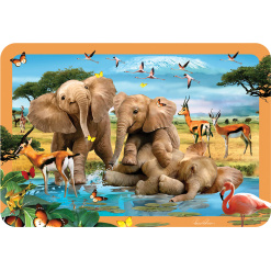 3D Lenticular Placemats by Eurographics