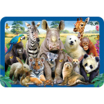 3D Lenticular Placemats by Eurographics 3