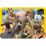 3D Lenticular Placemats by Eurographics 4