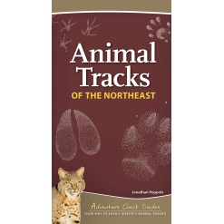 Animal Tracks of the Northeast by Adventure Keen