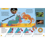 Clever Creatures How Animals and Plants Use Science to Survive by DK Publishing 1