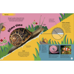 Clever Creatures How Animals and Plants Use Science to Survive by DK Publishing 2