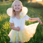 Daisy Tutu Wings and Wand Set by Great Pretenders 2