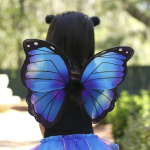 Midnight Butterfly Set by Great Pretenders 6