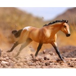 Breyer Buckskin Blanket Appaloosa by Breyer 1