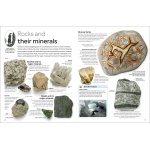 DK Eyewitness Books Rocks and Minerals by Dorling Kindersley 2