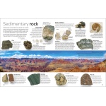 DK Eyewitness Books Rocks and Minerals by Dorling Kindersley 3
