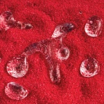 Magic Sand Test Tubes by Steve Spangler Science 7