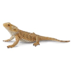 Bearded Dragon Figure by Collecta