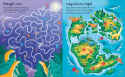 Dinosaur Mazes by Usborne 2