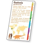 3D Lenticular Dinosaur Fact Cards Green by Artgame 2