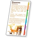 3D Lenticular Dinosaur Fact Cards Red by Artgame 2