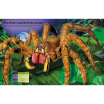 Build Your Own Deadly Animals Sticker Book by Usborne 1