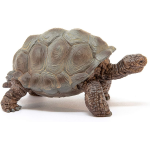 Giant Tortoise Figure by Schleich 2