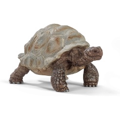 Giant Tortoise Figure by Schleich