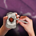I Dig It Rocks Fossils Mini Excavation Kit by Thames Kosmos 1