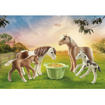 Playmobil Icelandic Ponies with Foals by Playmobil 1