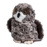 Shrill Saw Whet Owl 7 by Douglas 1