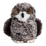 Shrill Saw Whet Owl 7 by Douglas