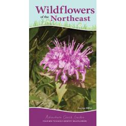 Wildflowers of the Northeast by Adventure Keen