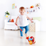 Lilly Push Along Musical Bird by Hape 1