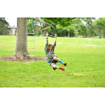 Slackers Ninja Wheel by b4Adventure 2
