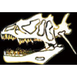 Allosaurus Skull Pin by WM Spear Designs