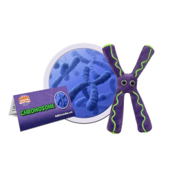 Plush Chromosome by Giant Microbes