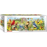 Panoramic Backyard Birds 1000pc Puzzle by Eurographics