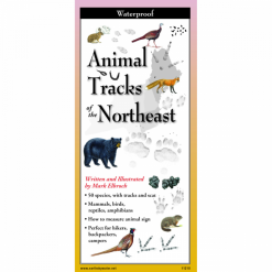 Animal Tracks of the Northeast by Earth Sky Water