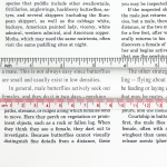 Bar Ruler Magniver by Carson 2