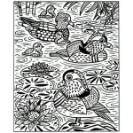 Birds Magic Painting Book by Usborne 1