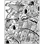Birds Magic Painting Book by Usborne 2