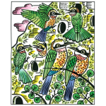 Birds Magic Painting Book by Usborne 3