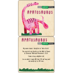 Dinosaurs Fascinating Lunch Box Notes for Kids Set of 50 Cards by Peter Pauper Press 4