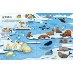 First Sticker Book Planet Eart by Usborne 2